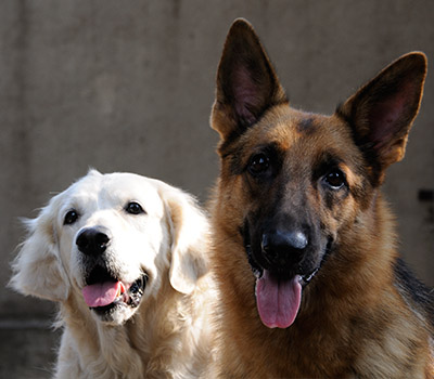 Awards And Recognitions