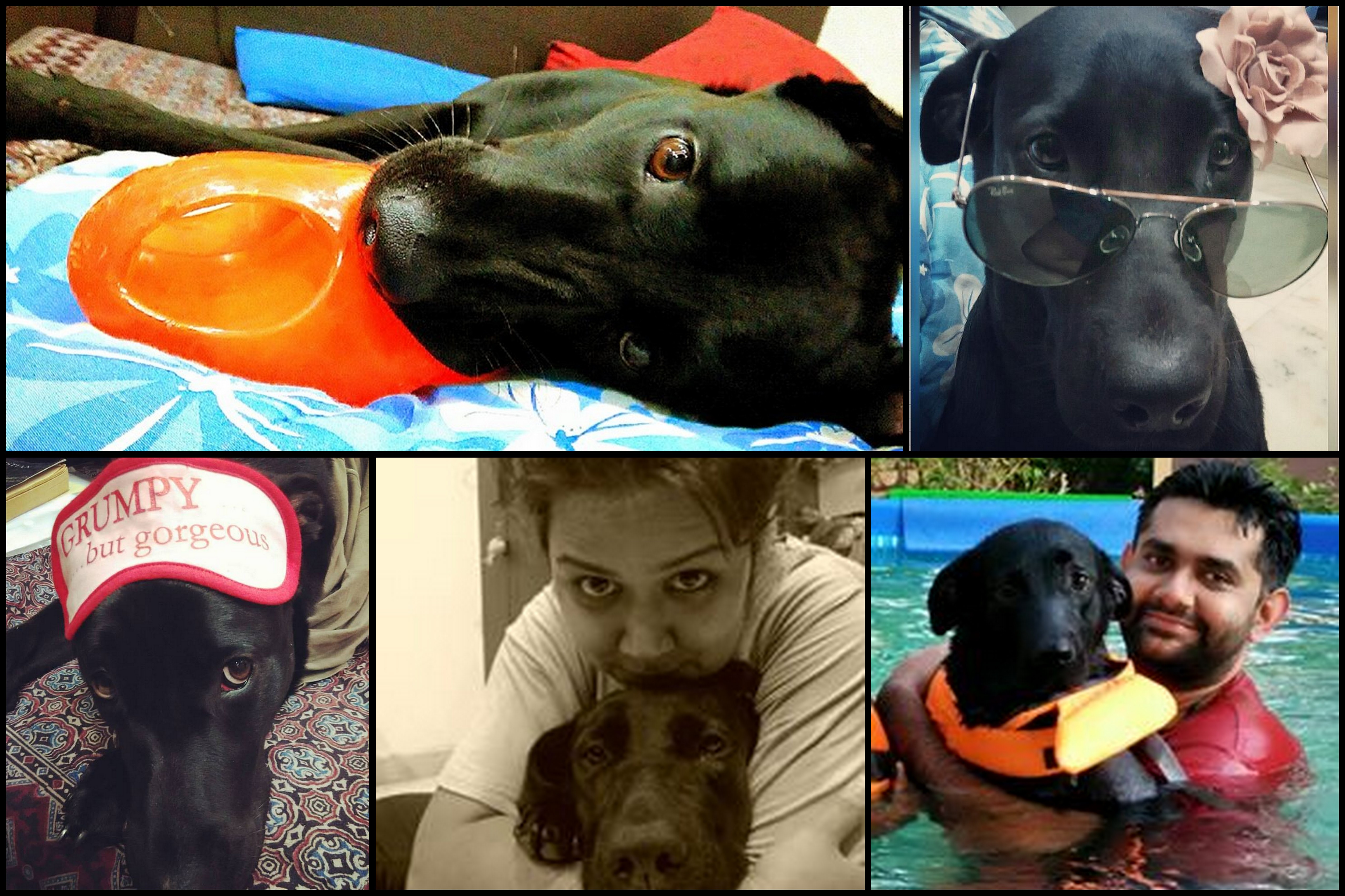 Akiraa with Kiyomi & Pratik Mehta